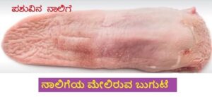 ನಾಟಿ ವೈದ್ಯ.. ಹೇಗೆ ನಾಟೀತು?