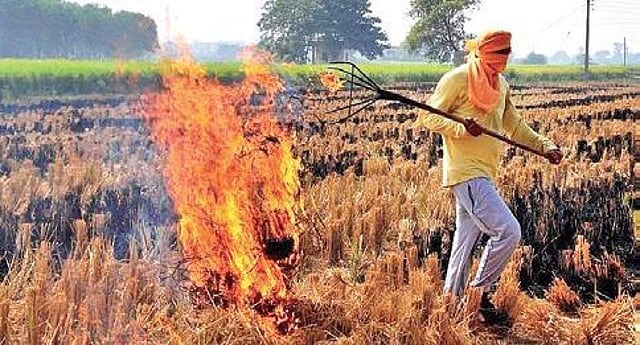 ಹೊಲದಲ್ಲಿ ಬೆಂಕಿ ಹಚ್ಚಿದರೆ ಕ್ಷಣದಲ್ಲೇ ಪತ್ತೆ! | ಪಂಜಾಬ್‌ನಲ್ಲಿ ಡ್ರೋನ್ ಕಣ್ಗಾವಲು